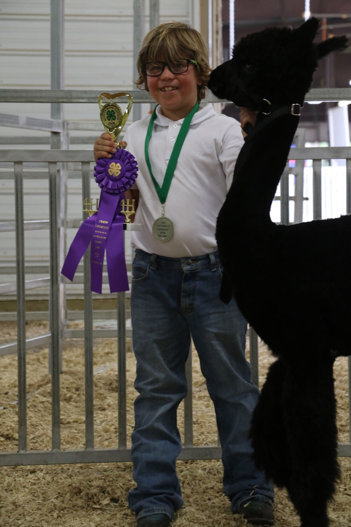 PHOTOS: Fiber Animal Show